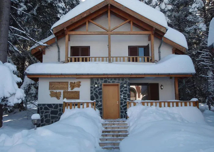 Saint George Borovets Hotel
