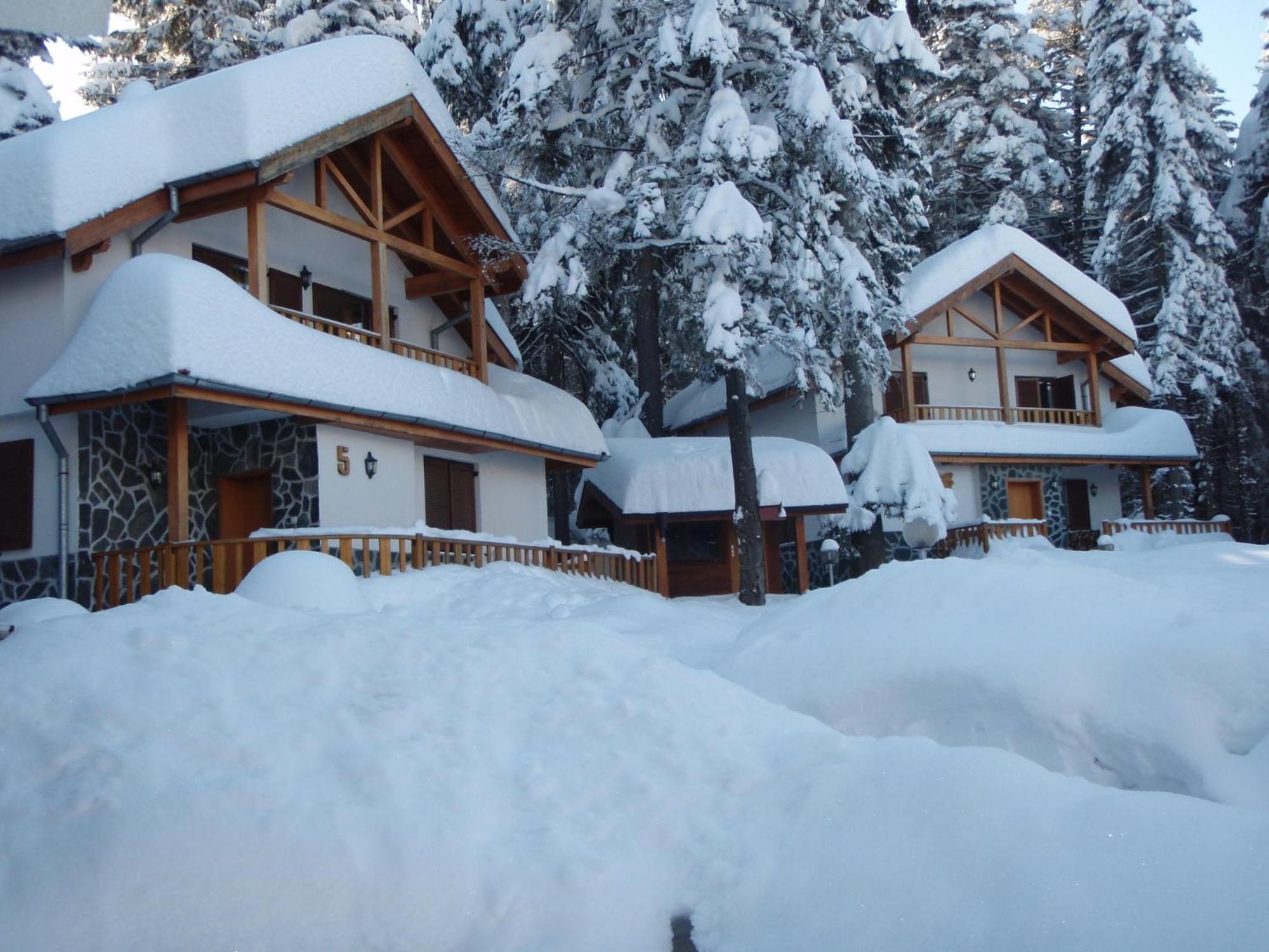 Saint George Borovets